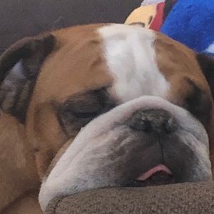 Meet your Posher, Ryan